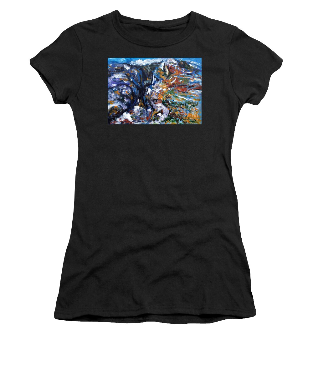 Canyon Women's T-Shirt featuring the painting Velebit Paklenica Canyon by Lidija Ivanek - SiLa