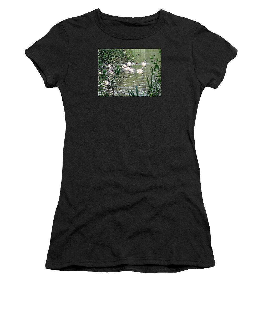 Park Women's T-Shirt featuring the photograph Waterfowl at the park by Mikki Cucuzzo