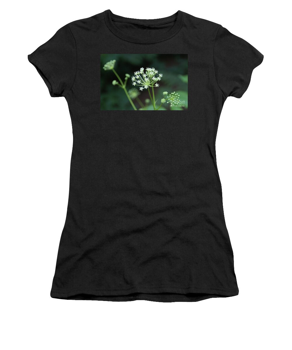 Wildflower Women's T-Shirt featuring the photograph Web Design by Linda Shafer