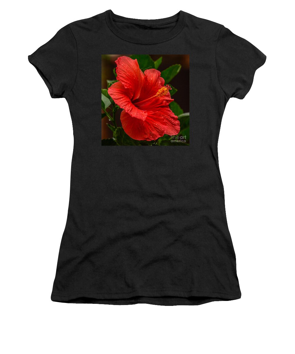 Flower Women's T-Shirt featuring the photograph Wet Hibiscus by Barry Bohn