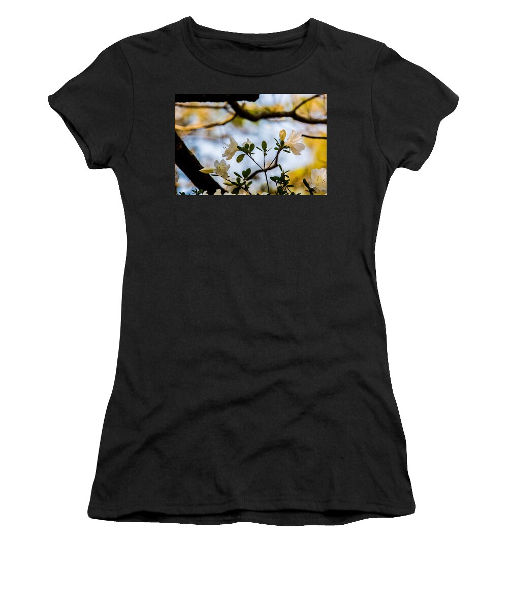 Whie Azaleas Under A Dogwood Tree Framed Prints Women's T-Shirt featuring the photograph White Azaleas Under a Dogwood Tree by John Harding