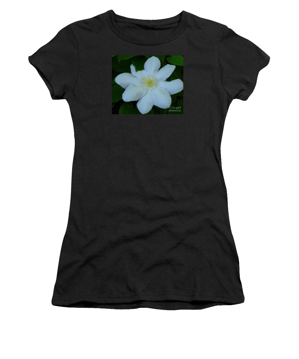 Floral Women's T-Shirt featuring the photograph White Clematis Aneta by Lingfai Leung