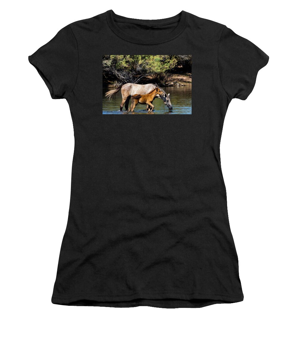 Horse Women's T-Shirt featuring the photograph Wild Horses on the Salt River by Douglas Killourie