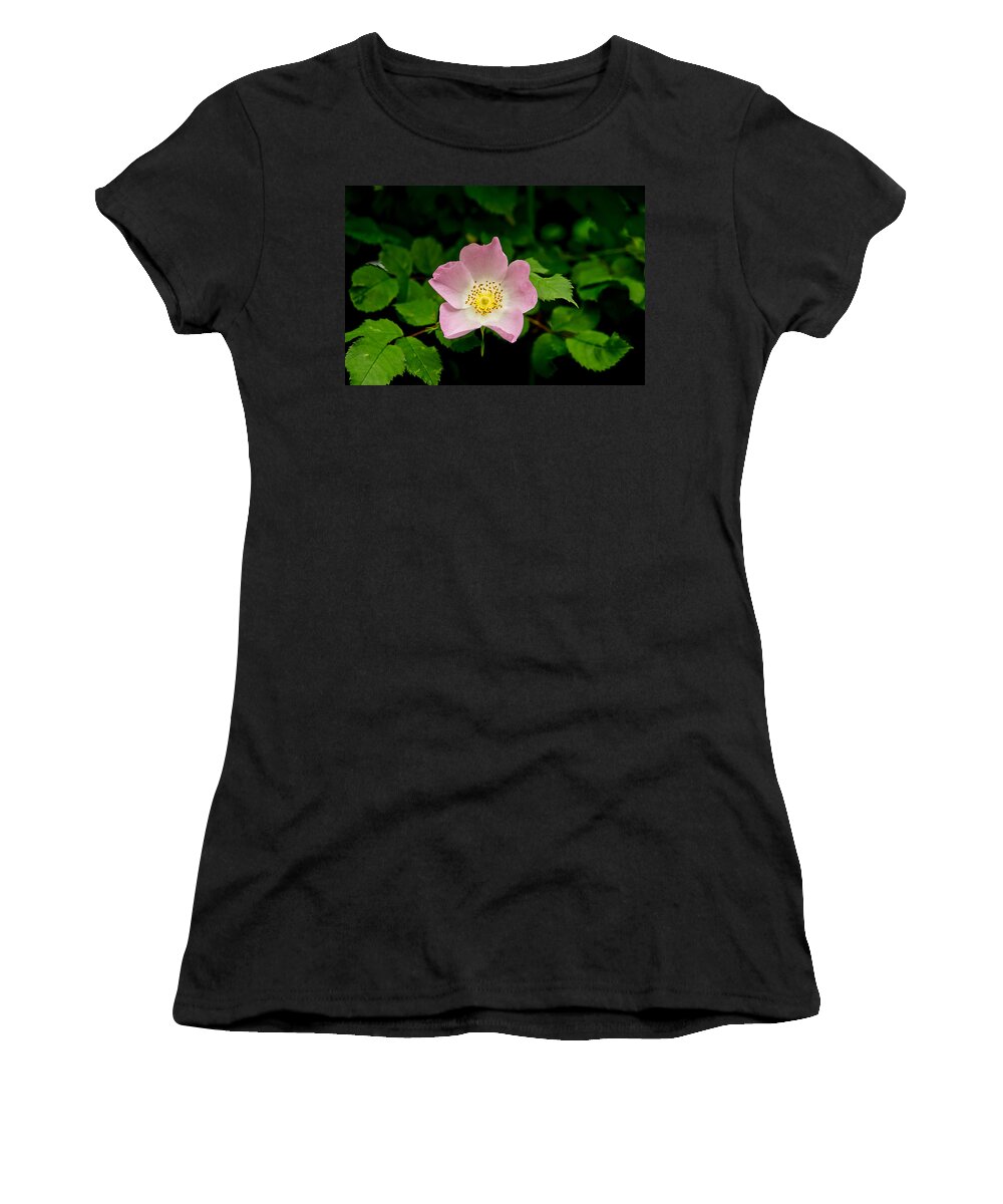 Wild Roses Floral Women's T-Shirt featuring the photograph Wild Roses. First movement. by Elena Perelman