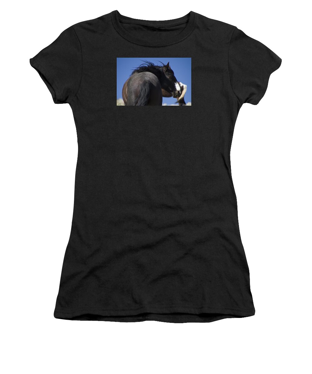 Horses Women's T-Shirt featuring the photograph Wild Stallion by Waterdancer