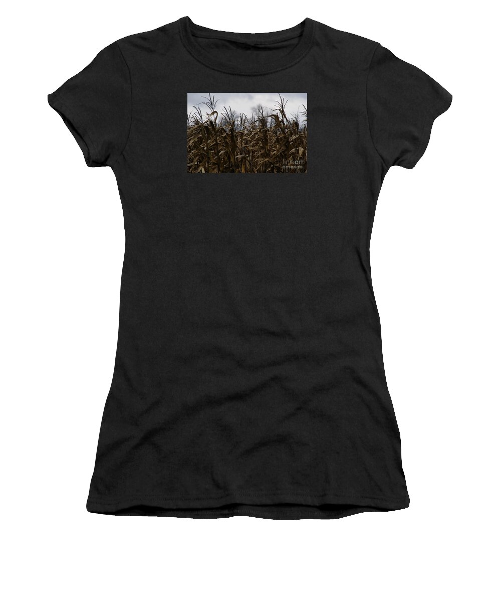 Corn Women's T-Shirt featuring the photograph Wind Blown by Linda Shafer