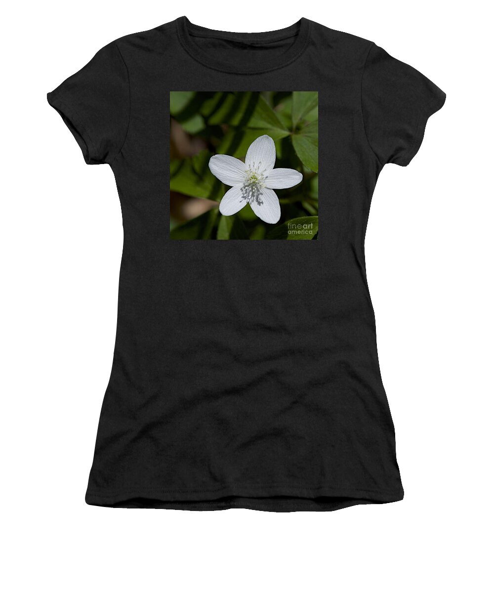 Native Plants Women's T-Shirt featuring the photograph Wood Anemone by Joseph Yarbrough