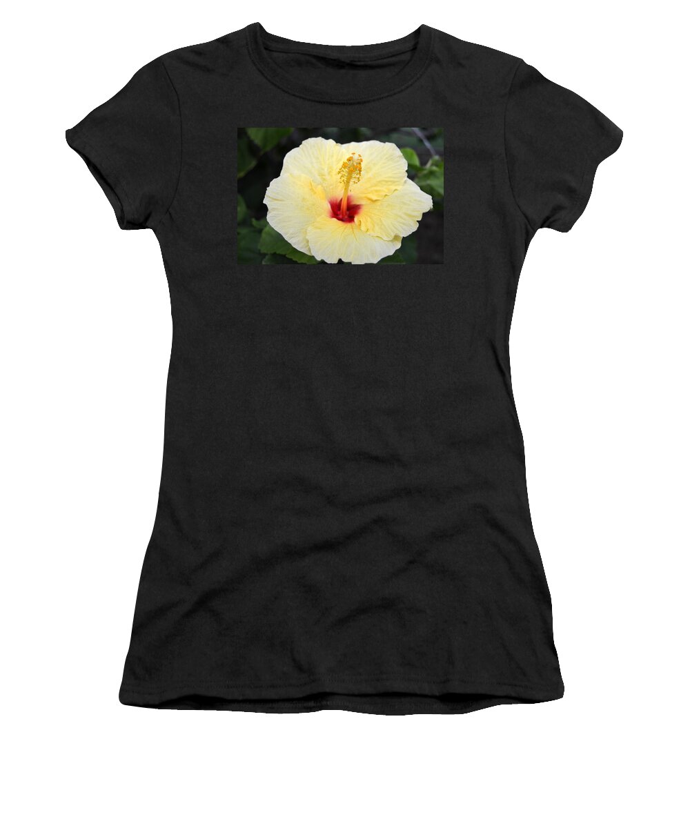Flower Women's T-Shirt featuring the photograph Yellow Red Hibiscus by Amy Fose