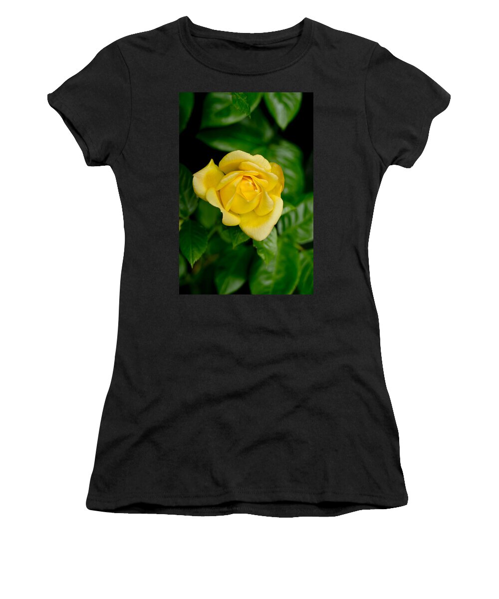 Rose Women's T-Shirt featuring the photograph Yellow on green. by Elena Perelman