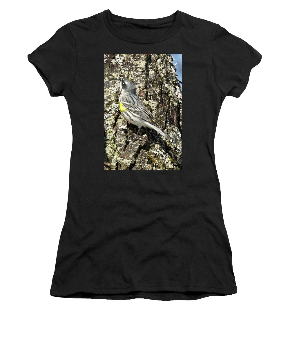 Bird Women's T-Shirt featuring the photograph Yellow-rumped Warbler 3174 by Michael Peychich