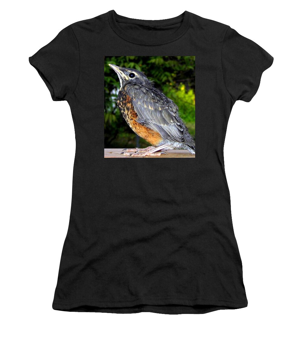 Young American Robin Women's T-Shirt featuring the photograph Young American Robin by Will Borden