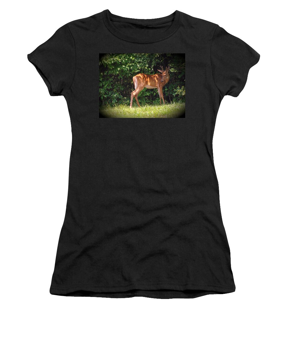 Deer Women's T-Shirt featuring the photograph Young Buck Hiding in the Shade by Stacie Siemsen