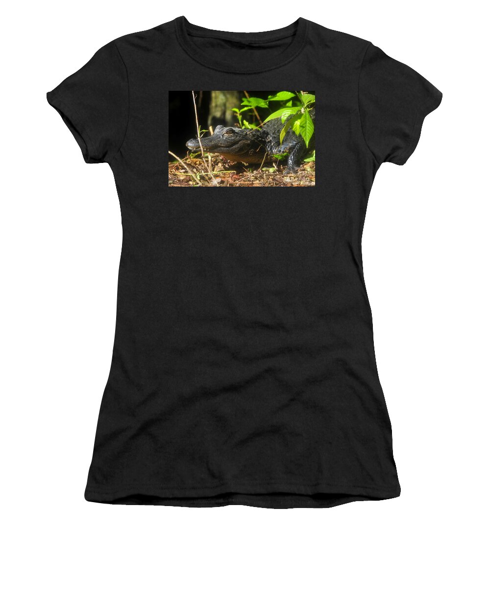 Alligator Women's T-Shirt featuring the photograph Young Gator by David Lee Thompson