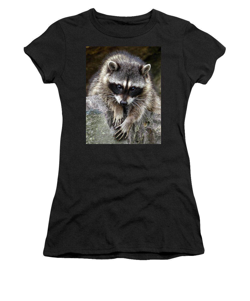 Raccoon Women's T-Shirt featuring the photograph Young Raccoon by Jerry Cahill