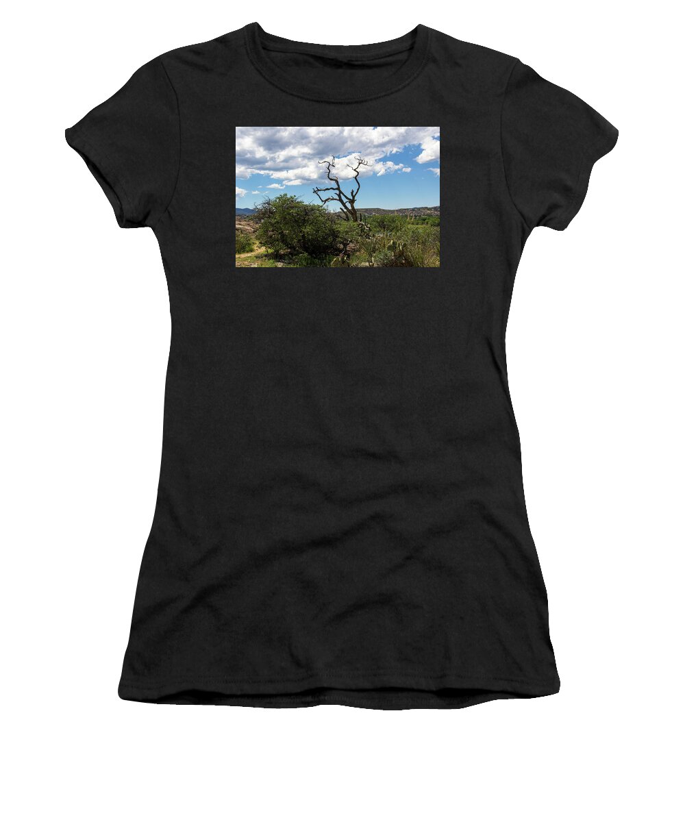 Branches Women's T-Shirt featuring the photograph Deadwood in the Desert #1 by Amy Sorvillo