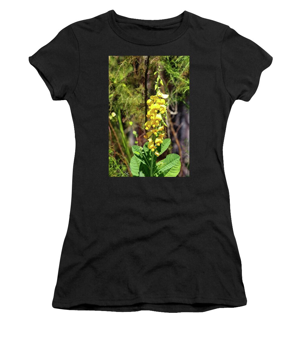 Flowers Women's T-Shirt featuring the photograph Fall Beauty #1 by Rick Redman