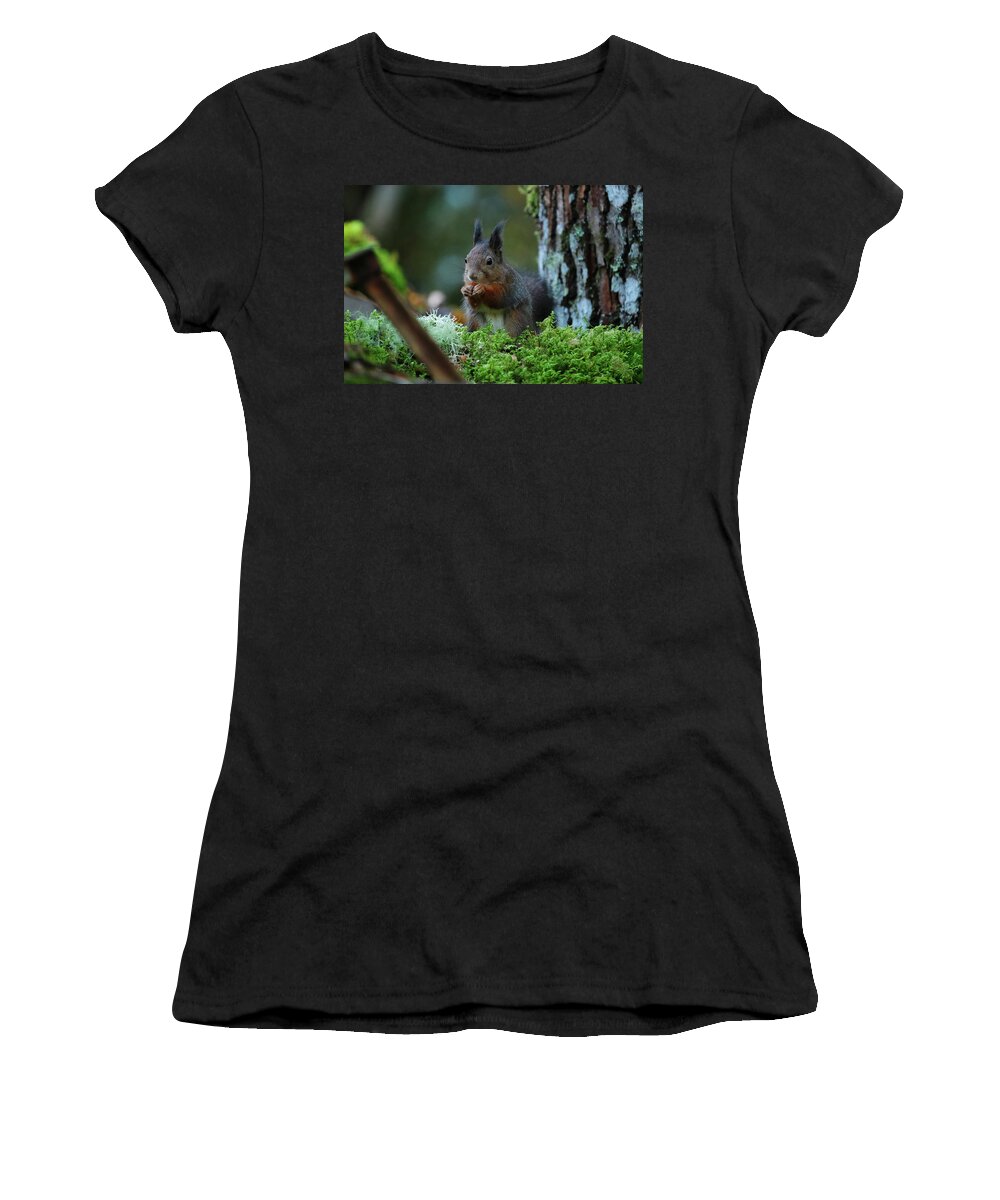 Sweden Women's T-Shirt featuring the pyrography Squirrel #3 by Magnus Haellquist