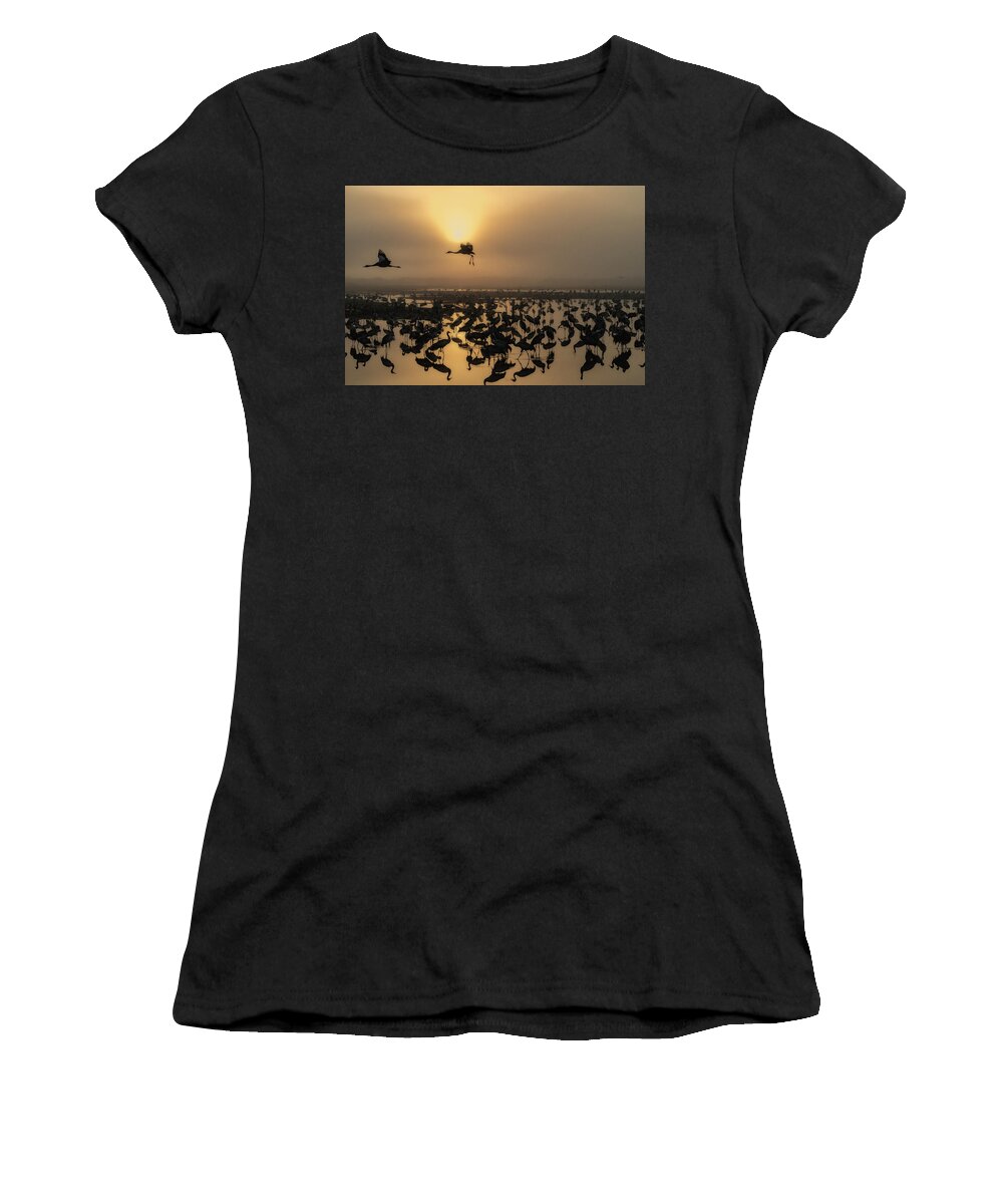 Cranes Women's T-Shirt featuring the photograph Sunrise #2 by Uri Baruch