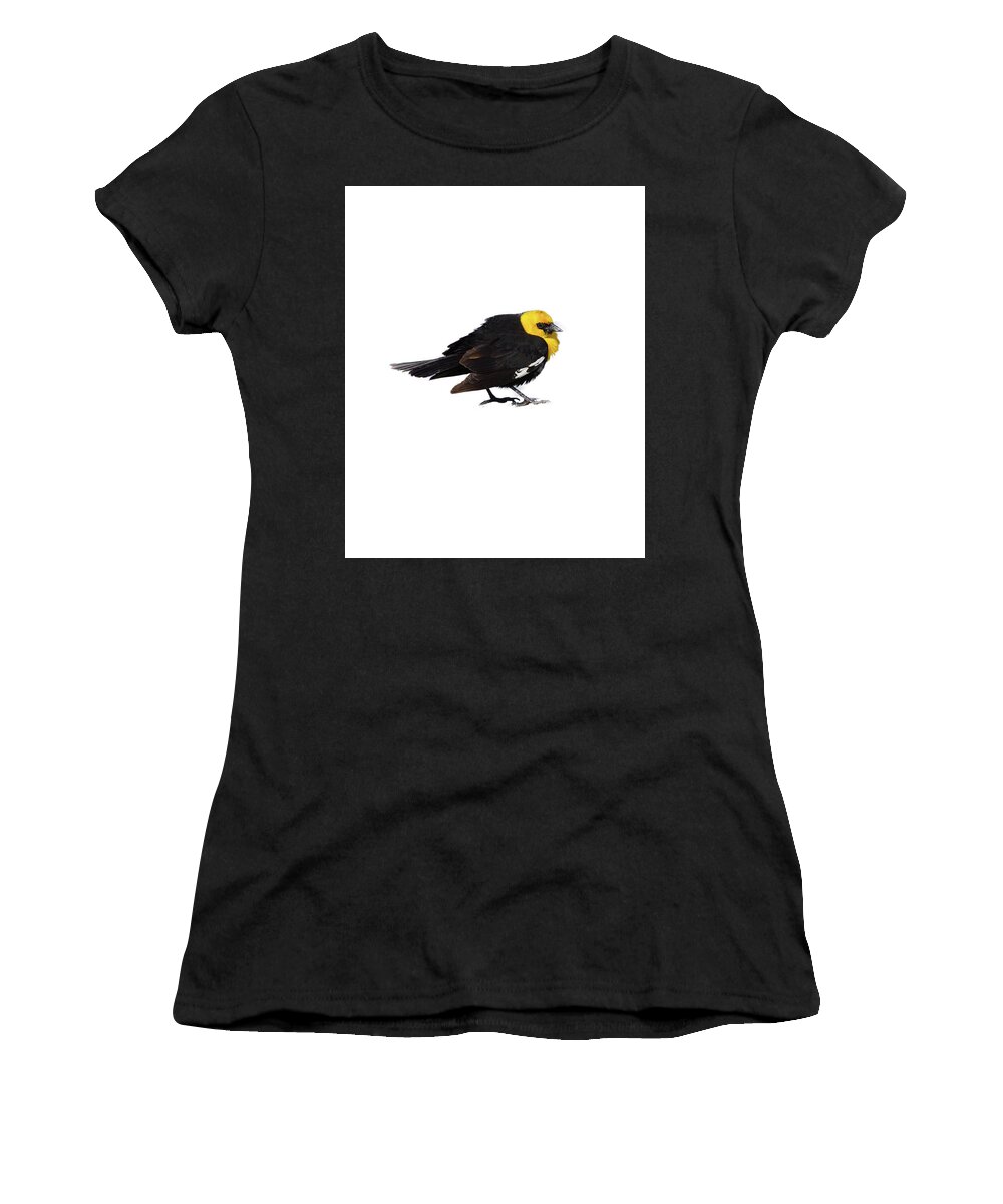 Refuge Women's T-Shirt featuring the photograph Yellow Headed Blackbird  #1 by Steve Estvanik