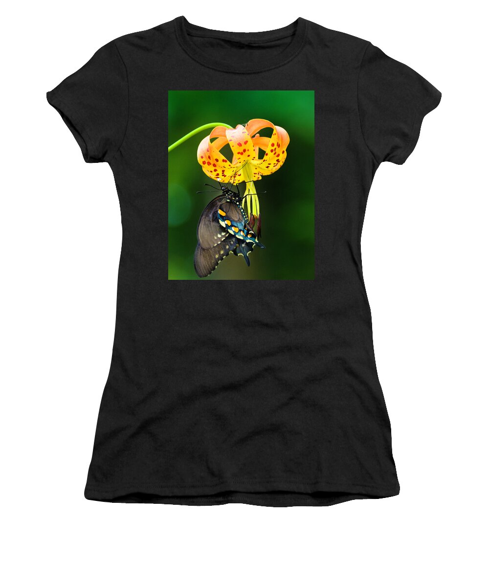 Africa Women's T-Shirt featuring the photograph Swallowtail On Turks Cap by Donald Brown