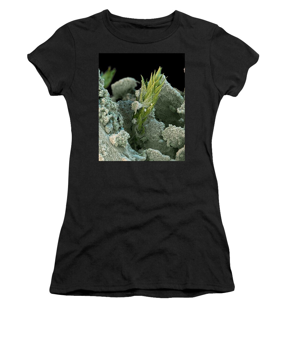 Algae Women's T-Shirt featuring the photograph Lichen by Meckes/ottawa