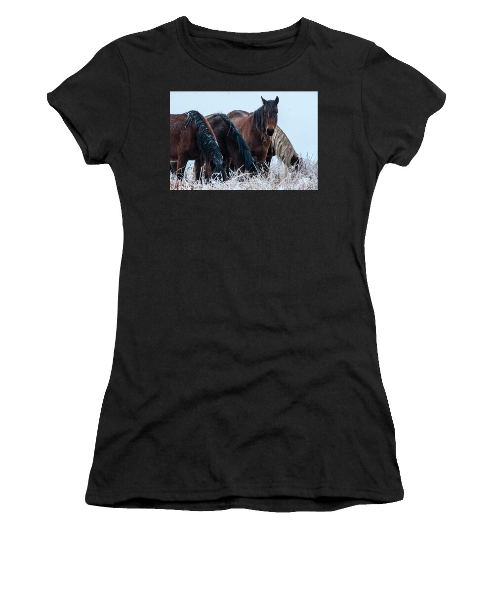  Women's T-Shirt featuring the photograph A Bit of Frost by Jolynn Reed
