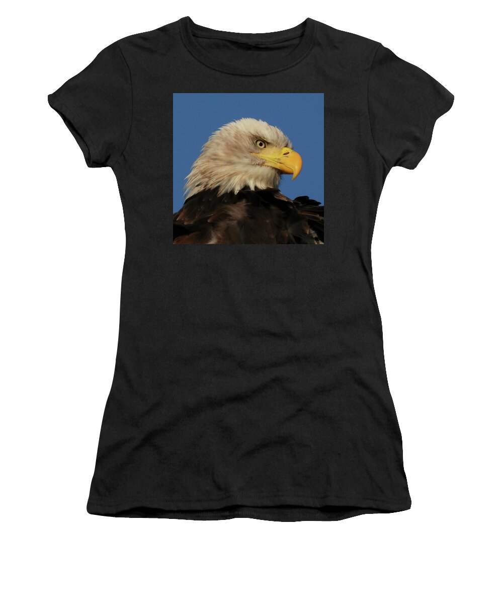  Women's T-Shirt featuring the photograph A Twinkle in the Eye by Jack Wilson