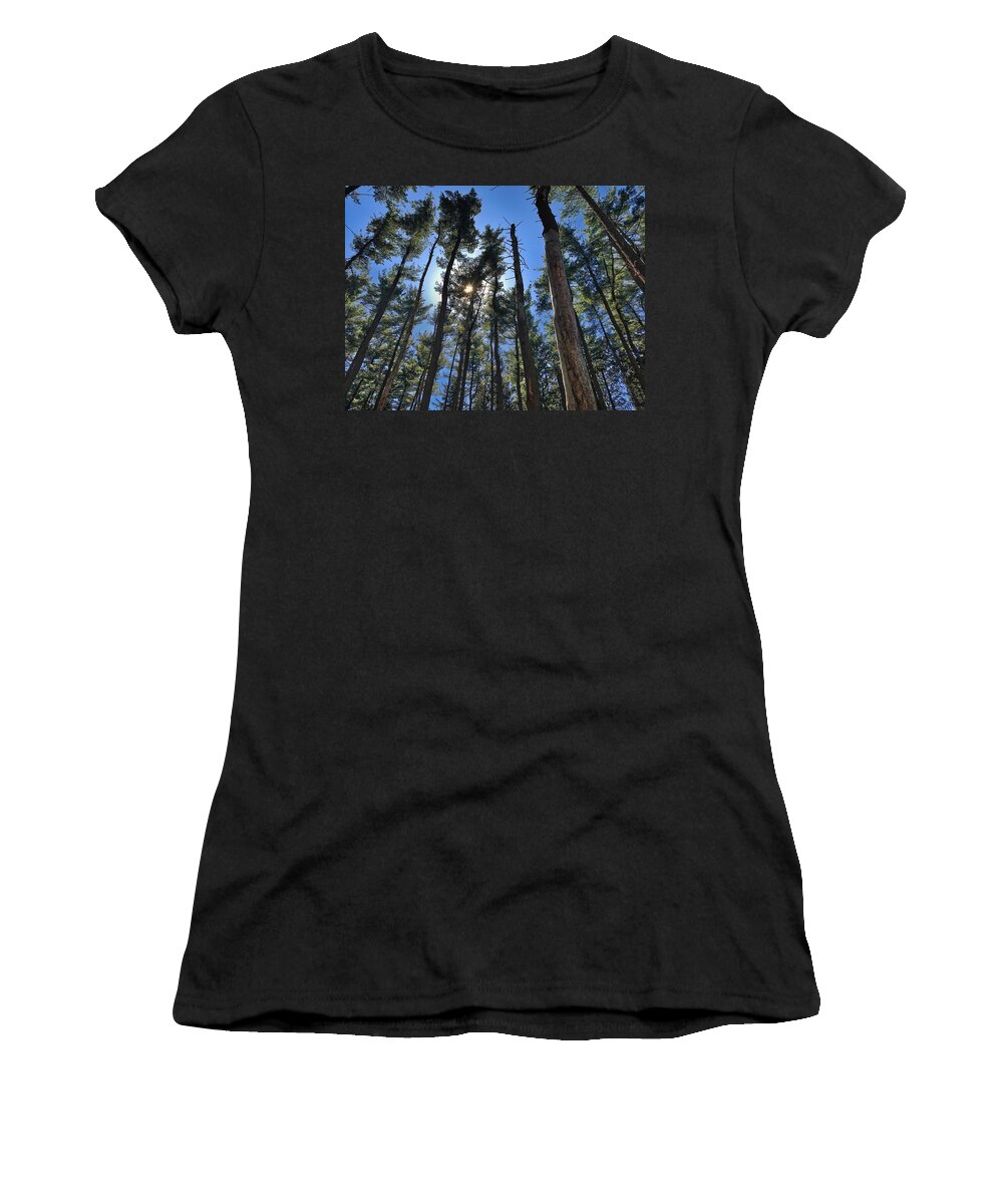  Women's T-Shirt featuring the photograph A Walk in the Pines by Jack Wilson