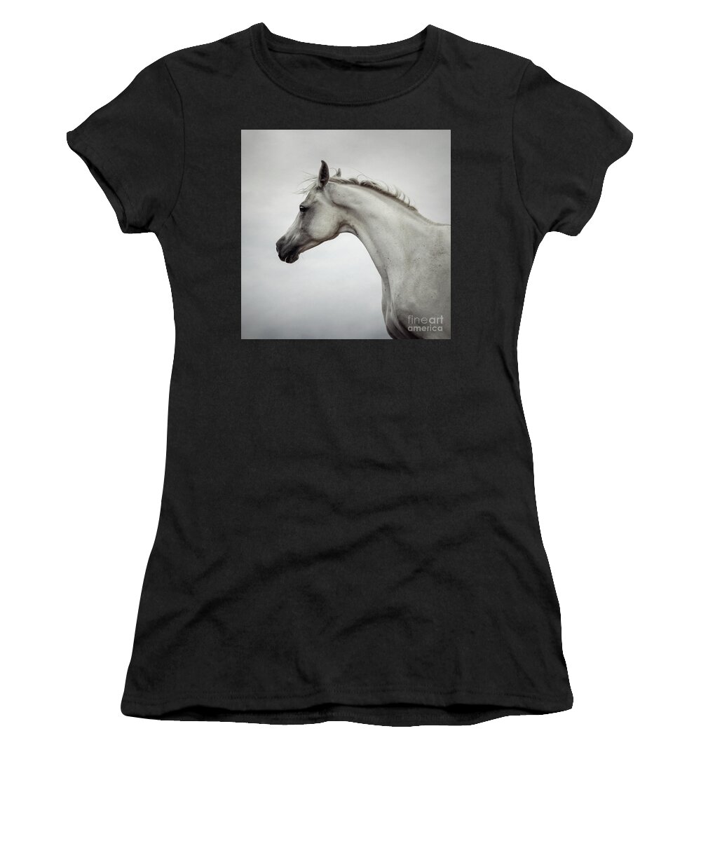Horse Women's T-Shirt featuring the photograph Arabian Horse Portrait by Dimitar Hristov