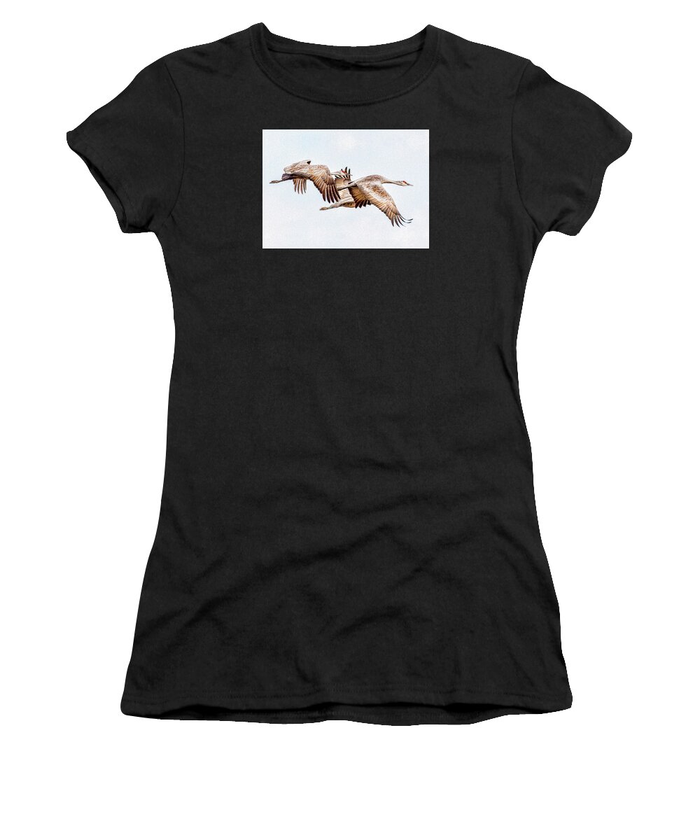 2013 March Women's T-Shirt featuring the photograph Sandhill Crane Trio - Border Edition by Bill Kesler