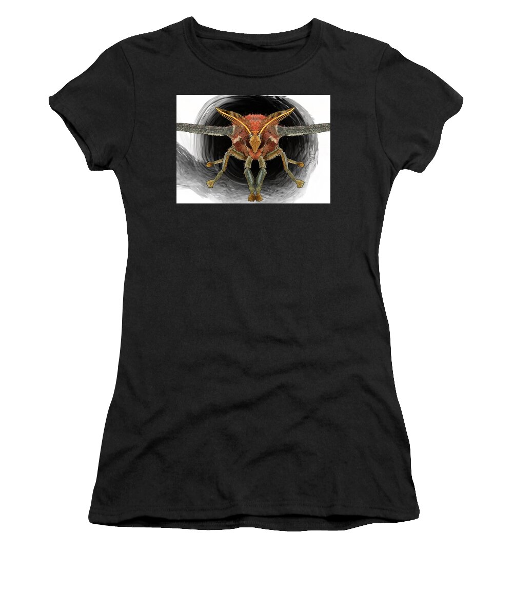 Atlas Moth Women's T-Shirt featuring the drawing Atlas Moth Front On by Joan Stratton