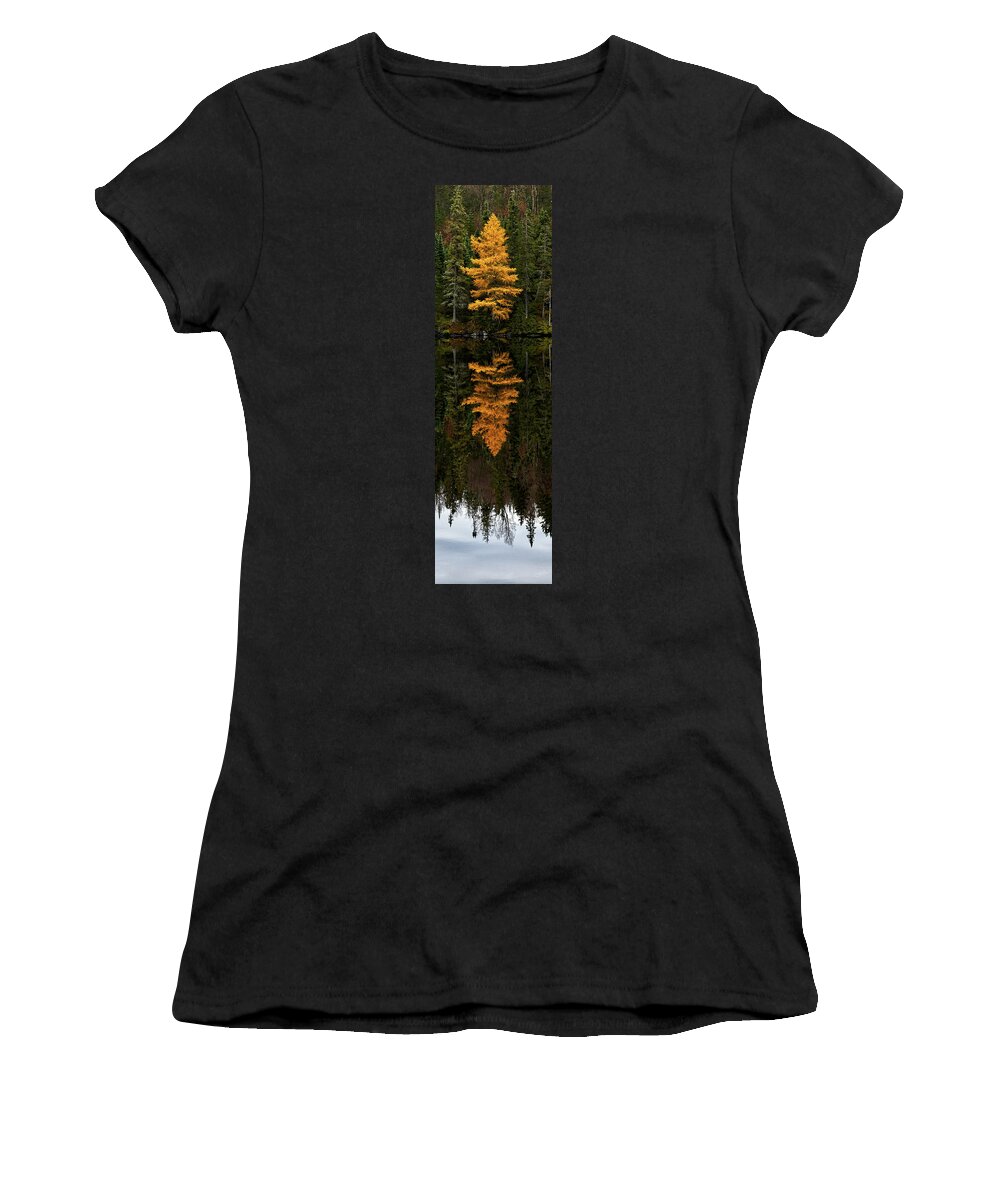 Canada Northern Ontario Ontario Calm Boreal Forest Fores Peaceful Calm Reflections Golden Yellow Tamarack Women's T-Shirt featuring the photograph Autumn Tamarack by Doug Gibbons