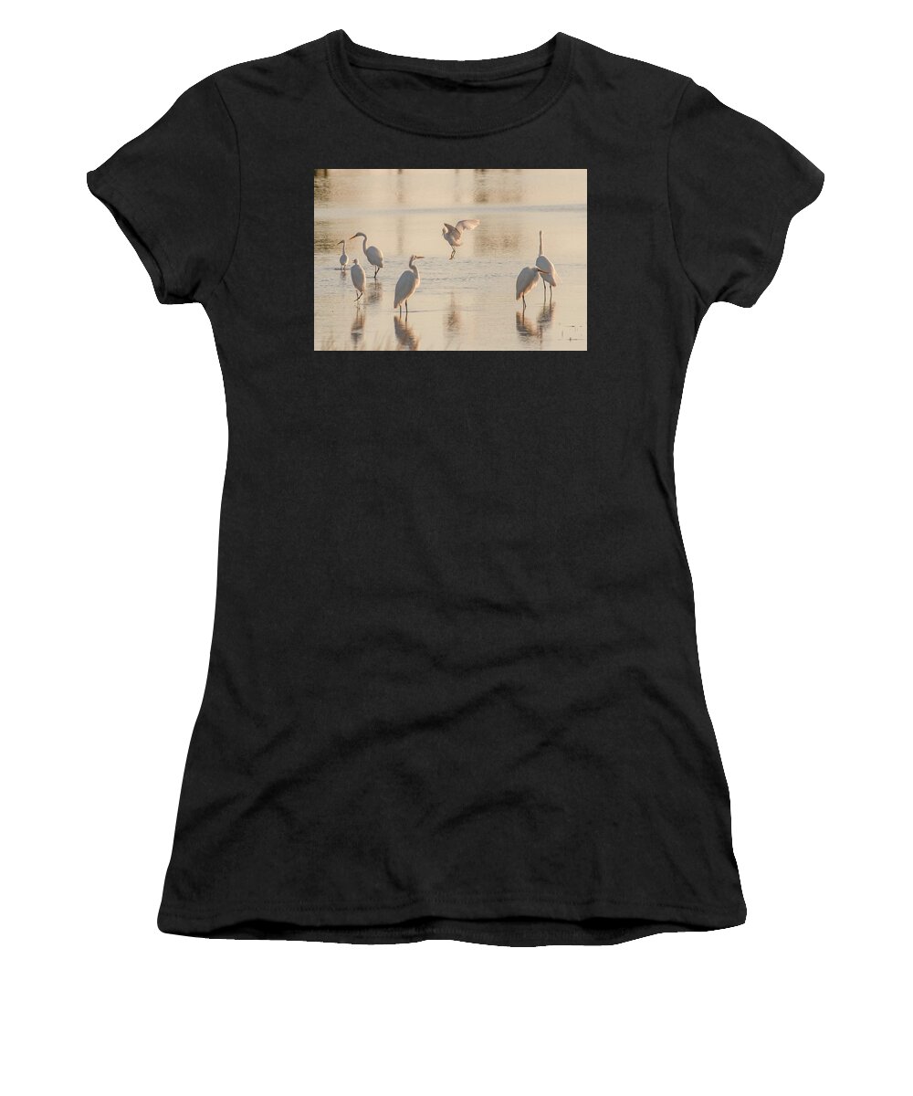Birds Women's T-Shirt featuring the photograph Ballet of the Egrets by Donald Brown