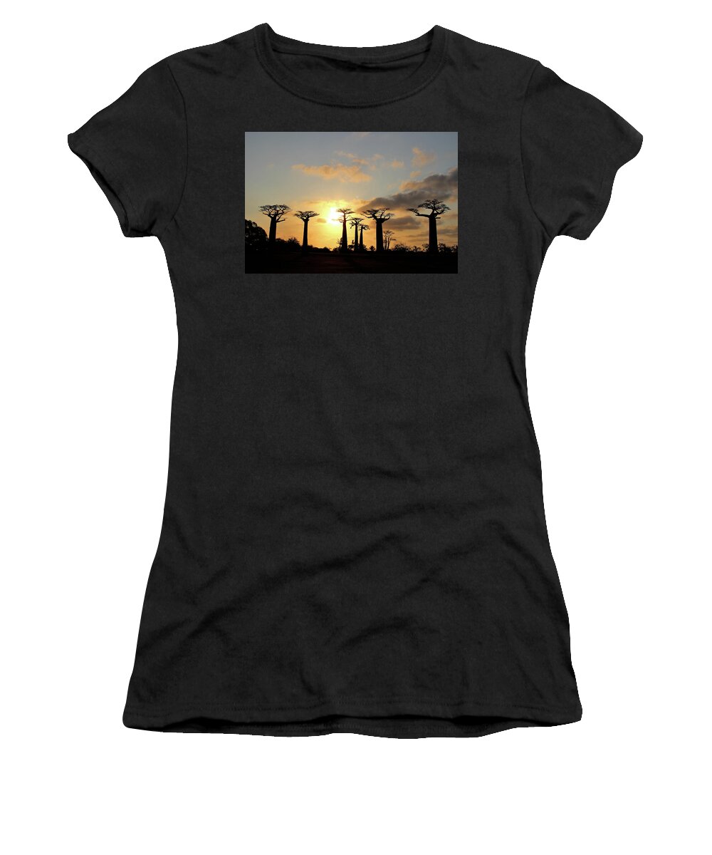  Women's T-Shirt featuring the photograph Baobab Trees Sunset by Eric Pengelly