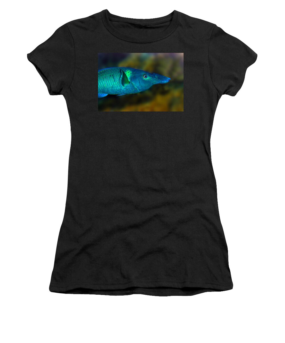 Bird Wrasse Women's T-Shirt featuring the photograph Bird Wrasse by Anthony Jones