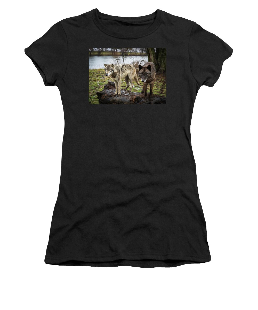 Wolves Wolf Black Women's T-Shirt featuring the photograph Black and White by Laura Hedien