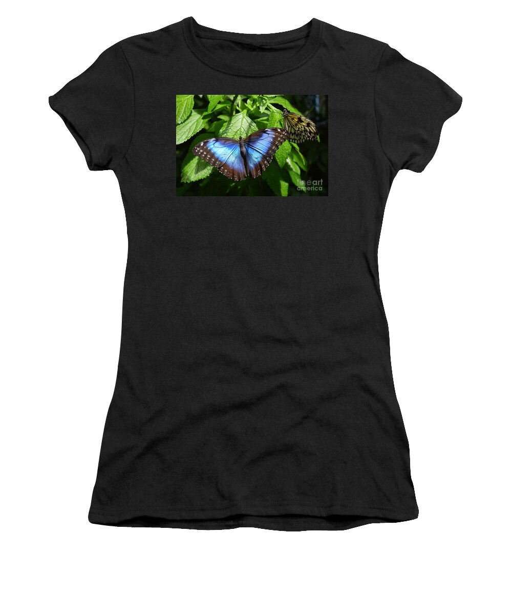 Blue Morpho Women's T-Shirt featuring the photograph Blue Morpho Butterfly by Catherine Sherman