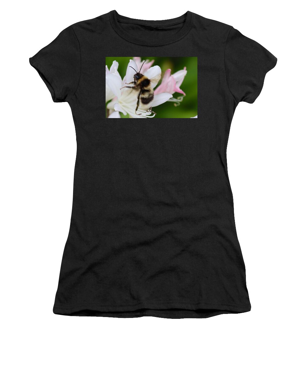 Bombu Women's T-Shirt featuring the photograph Bombus terrestris-Bumblebee by Sarah Lilja