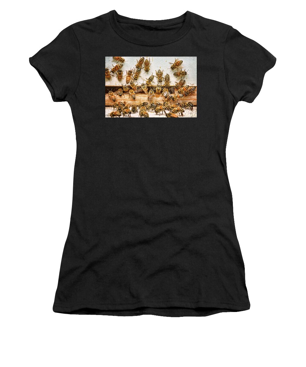 Bees Women's T-Shirt featuring the photograph Busy Day - Bees by Nikolyn McDonald