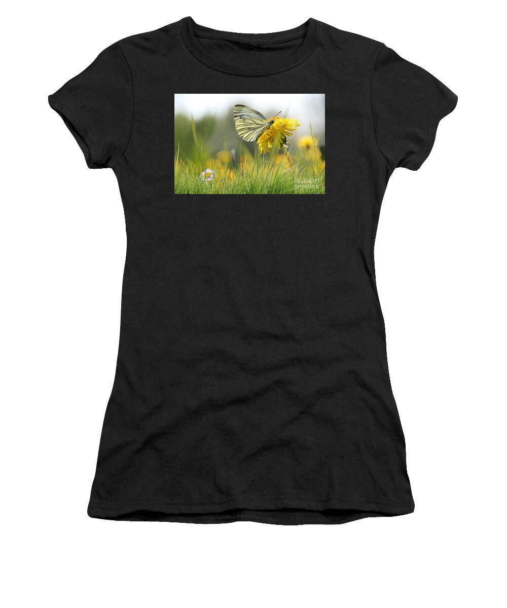 Butterfly On Flower. Butterfly And Dandelion Women's T-Shirt featuring the pyrography Butterfly on Dandelion by Morag Bates