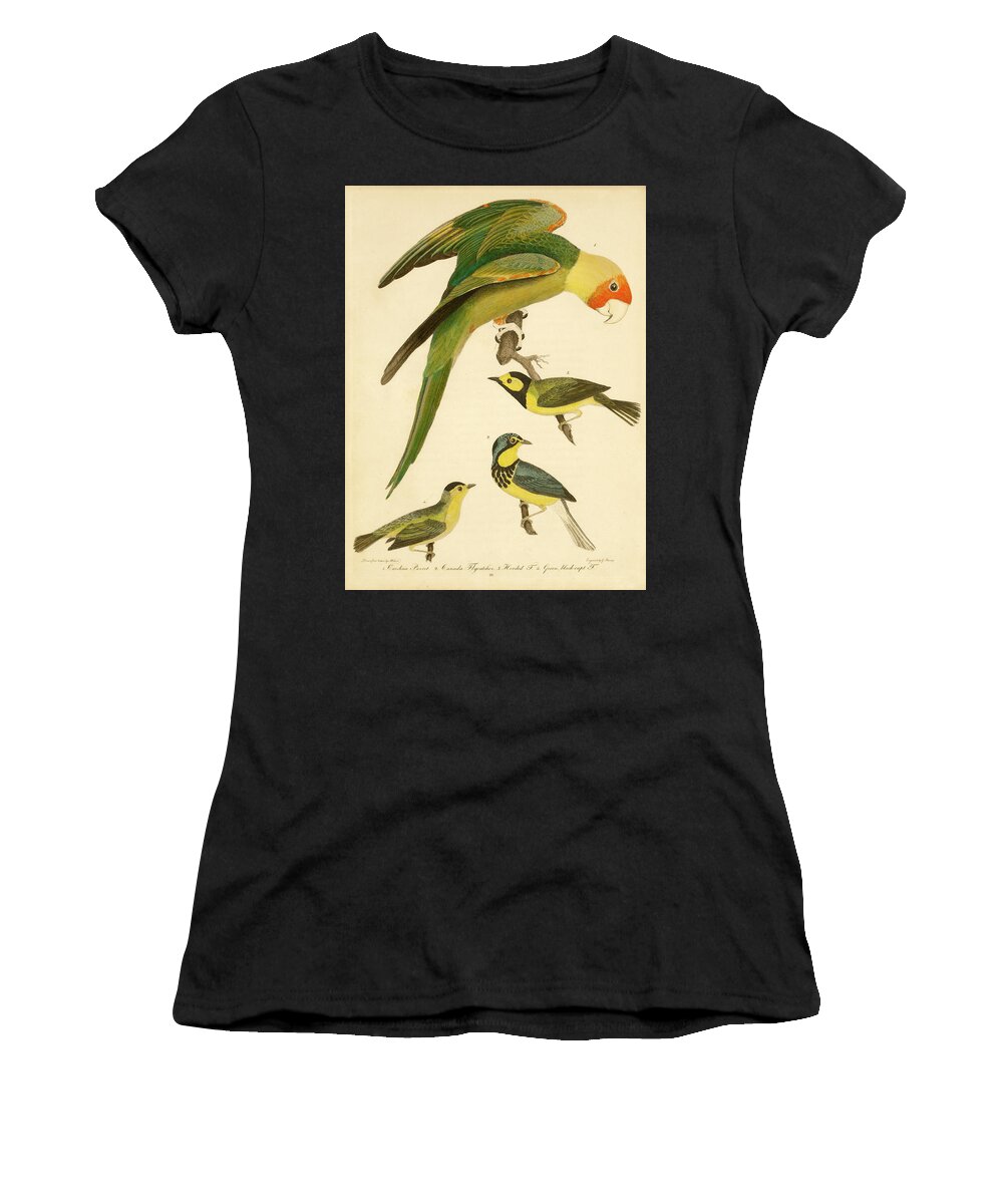 Birds Women's T-Shirt featuring the mixed media Carolina Parrot by Alexander Wilson