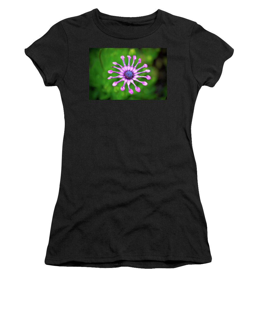 Flower Women's T-Shirt featuring the photograph Circular by Michelle Wermuth