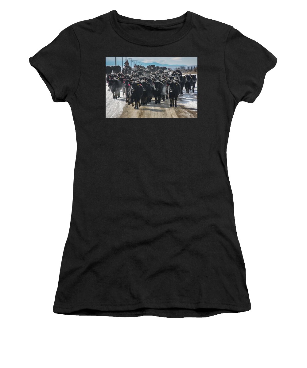 Cowboy Women's T-Shirt featuring the photograph Cold Angus by Todd Klassy