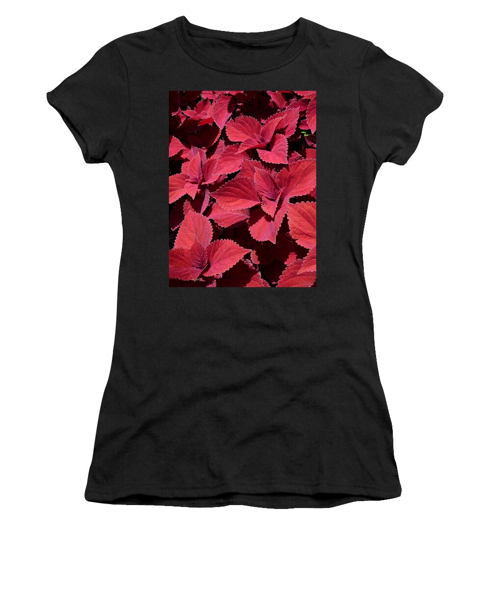 Red Leaf Coleus Close-up Women's T-Shirt featuring the photograph Coleus Close-up by Mike McBrayer