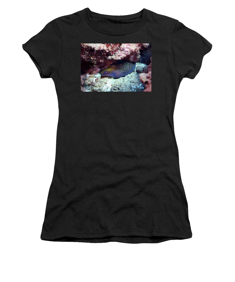 Hawaii Women's T-Shirt featuring the photograph Colorful Moray by Anthony Jones