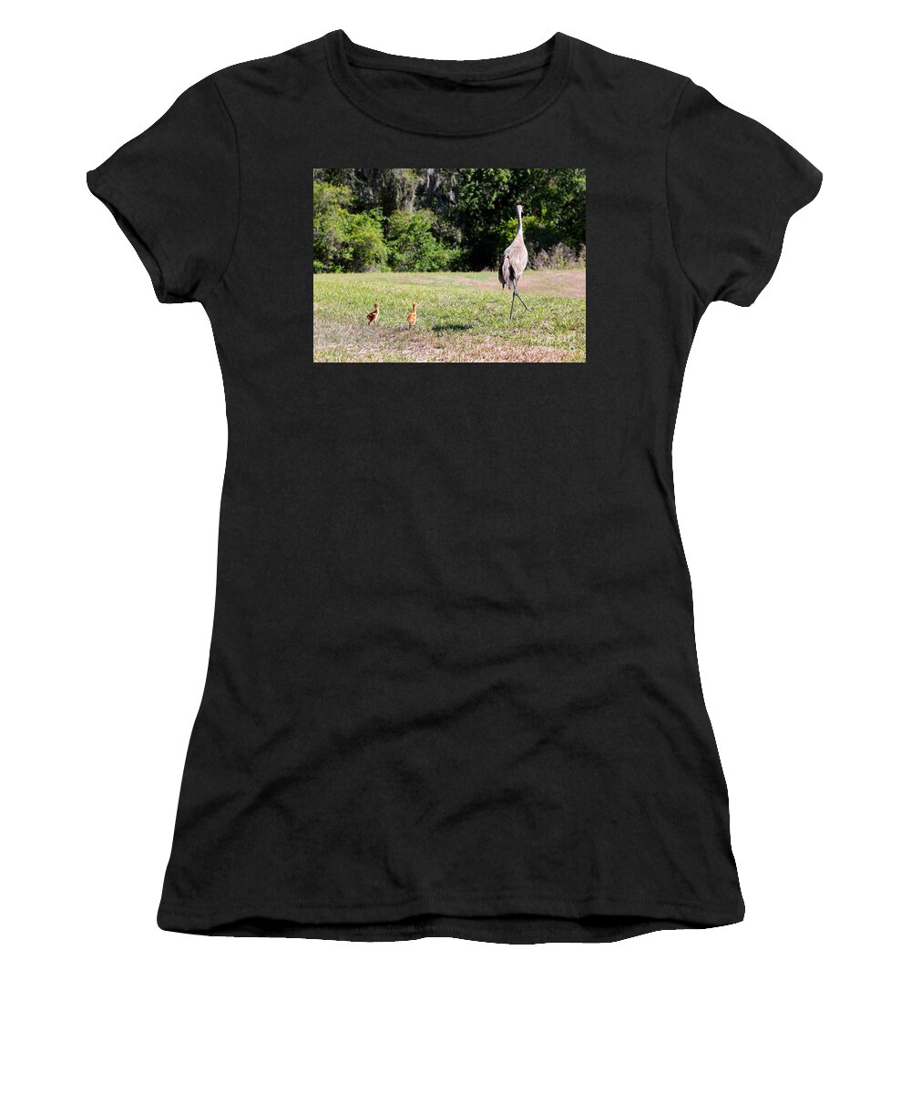Sandhill Cranes Women's T-Shirt featuring the photograph Come Along Sandhill Crane Colts by Carol Groenen