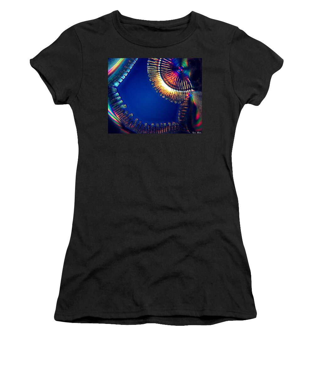  Women's T-Shirt featuring the photograph Complicated Joy by Rein Nomm