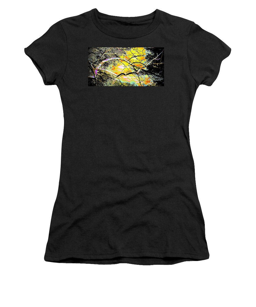 Abstract Women's T-Shirt featuring the photograph Cracked Open by Alida M Haslett