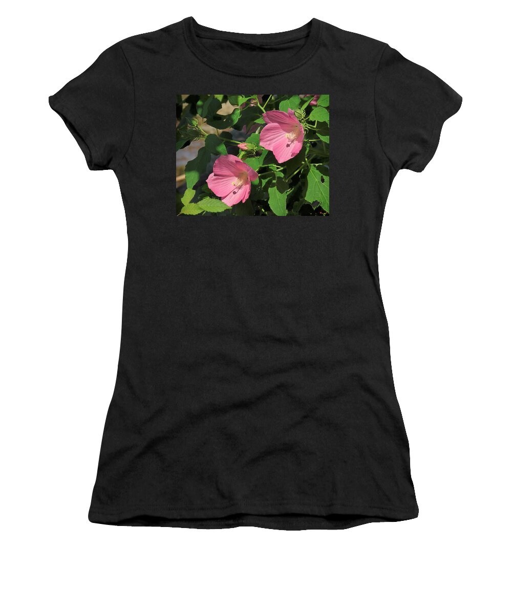 Nature Women's T-Shirt featuring the photograph Crimson-eyed Rosemallows DSMF0110 by Gerry Gantt