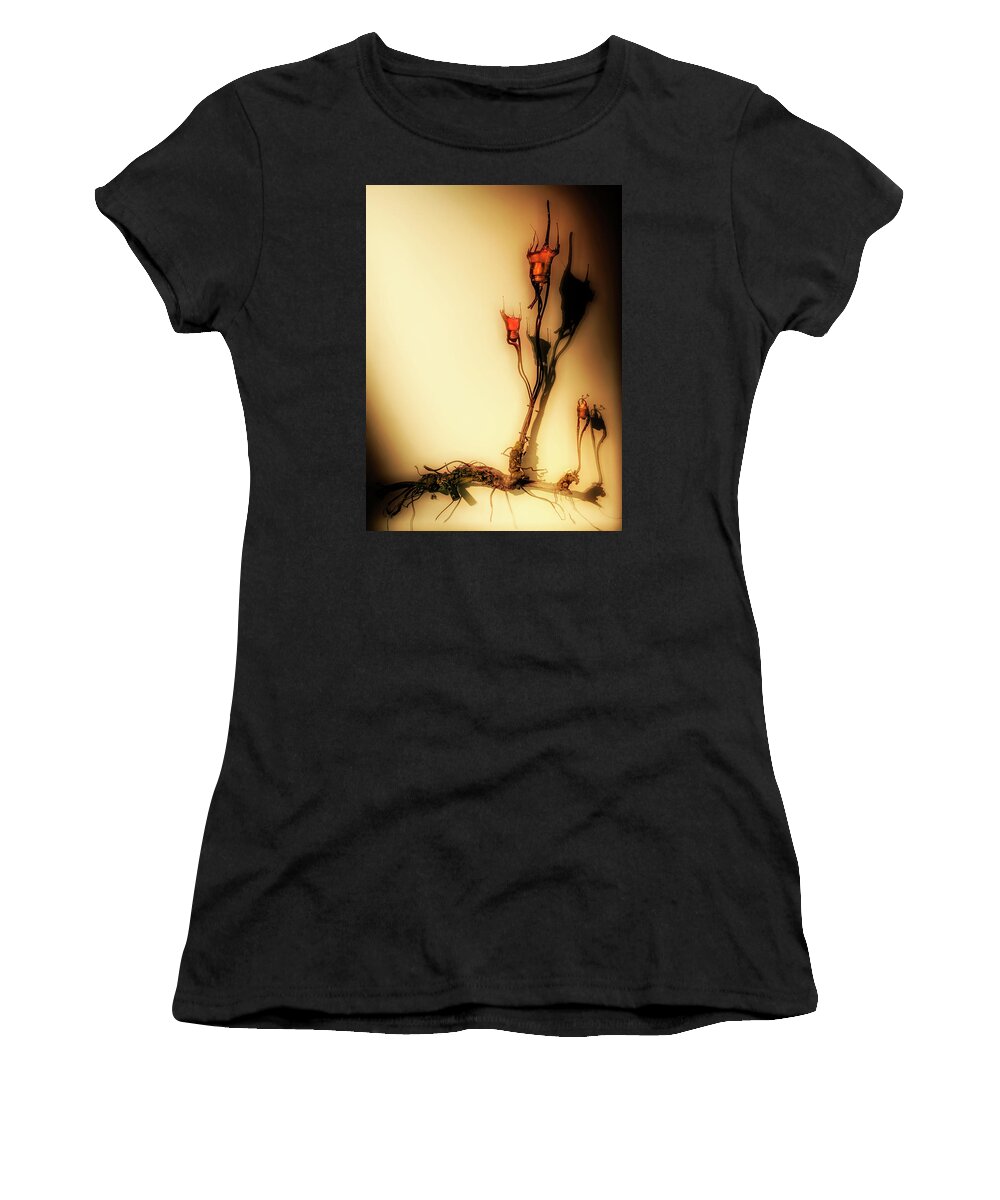 Cultivation Women's T-Shirt featuring the photograph Cultivation of bulbs by Micah Offman